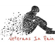 VET IN PAIN LOGO
